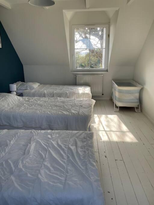 Belle Longere Au Calme Villa Carantec Dış mekan fotoğraf